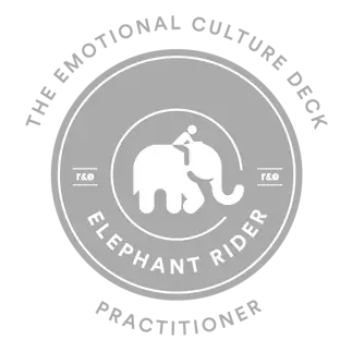 Elephant Rider Practitioner